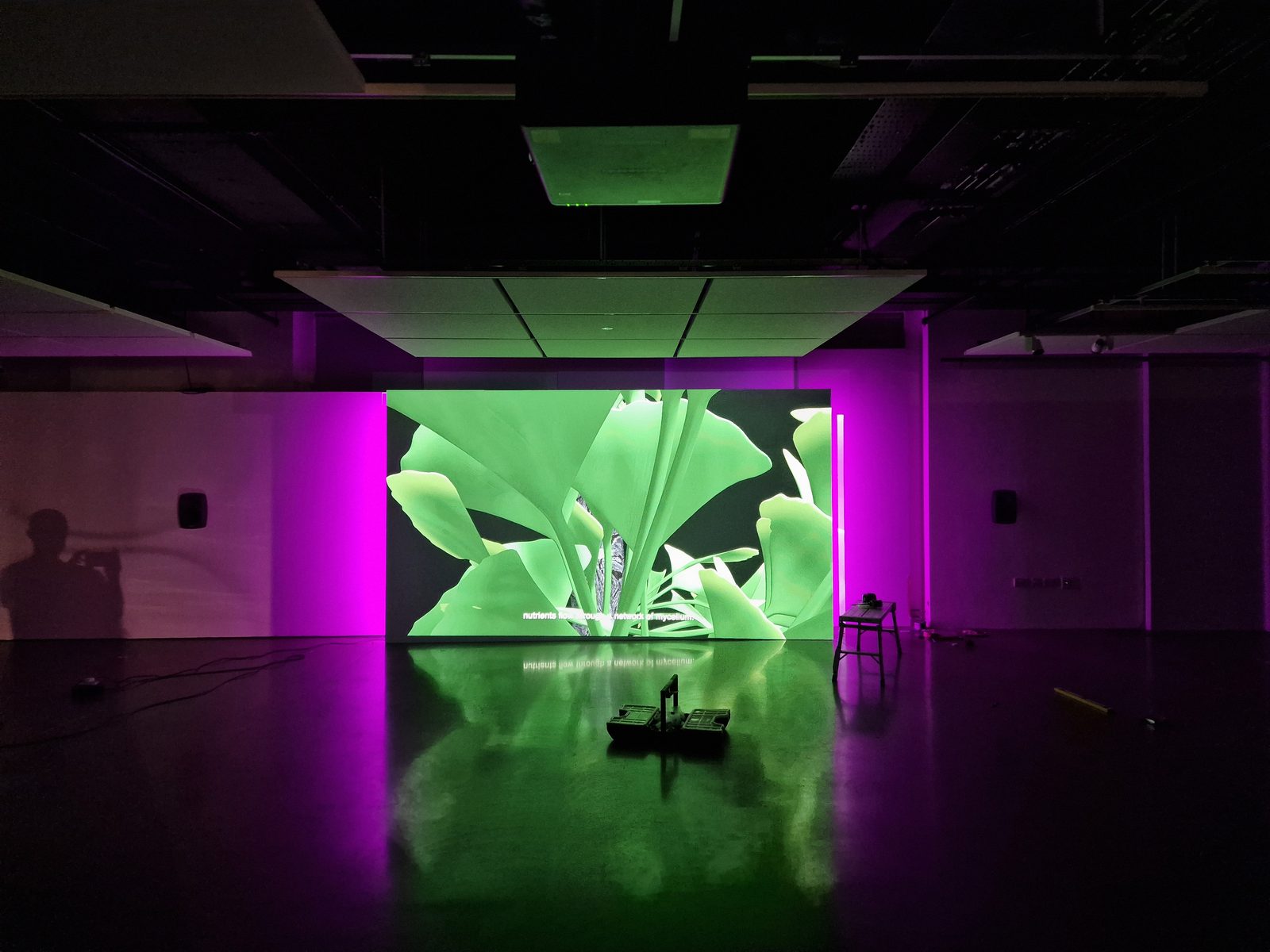 An immersive projection of green foliage in a magenta-lit gallery, AI: Who's Looking After Me?